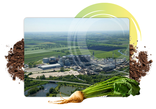 Launch your engineering career at British Sugar